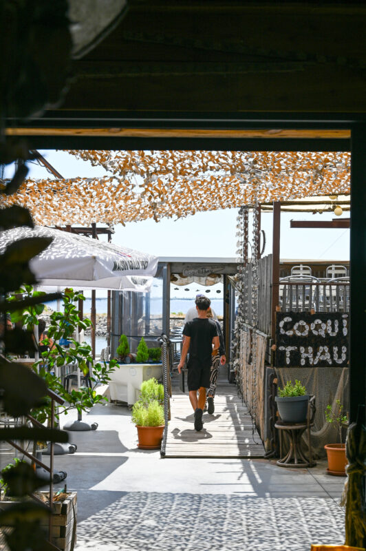 Coqui Thau